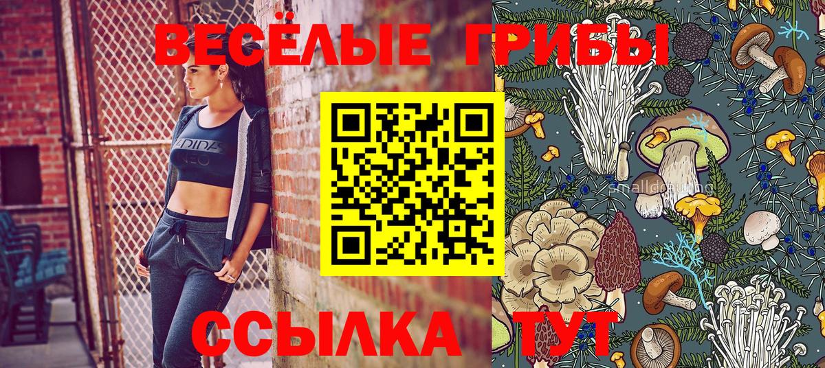 Псилоцибиновые грибы Psilocybine cubensis  Галлюциногенные грибы прущие грибы  Топки  Вход с VPN 