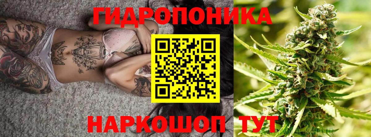 Топки  Бошки Шишки тримм  Вход с VPN  Бошки марихуана тримм  Канабис сатива 